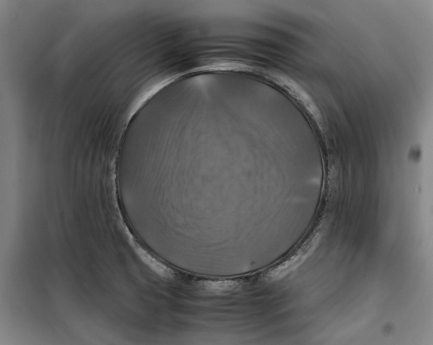 X0000099411425200805301336