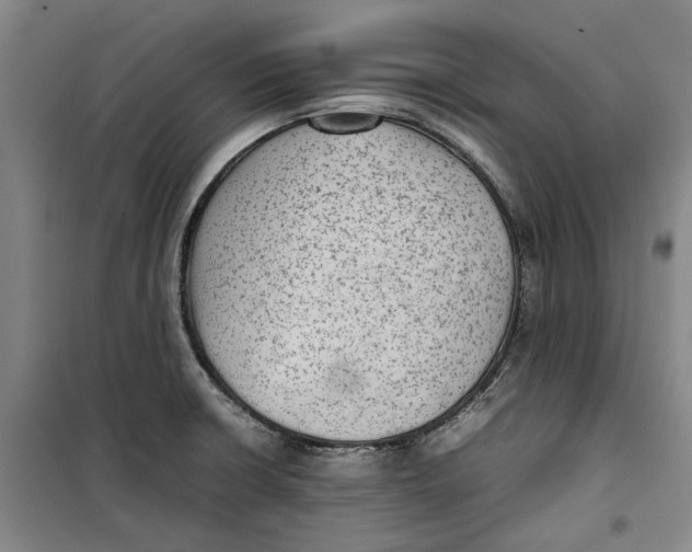 X0000099411426200805301336