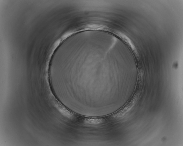 X0000099411427200805301336