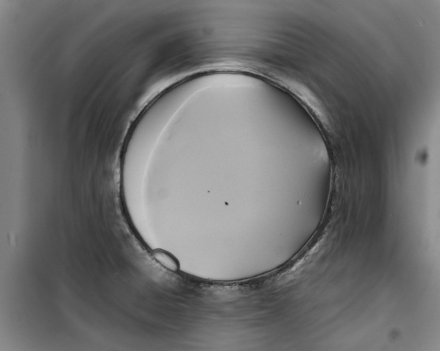 X0000099411428200805301336