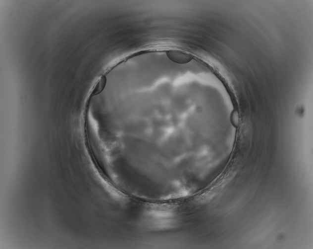 X0000099411429200805301336