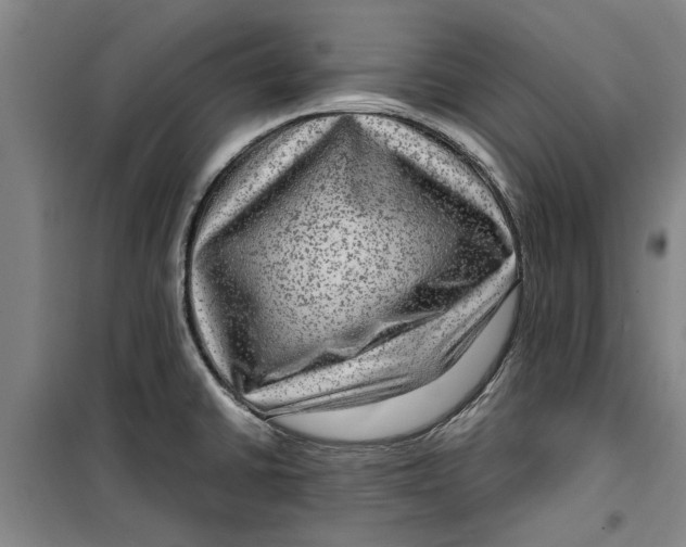 X0000099411430200805301336