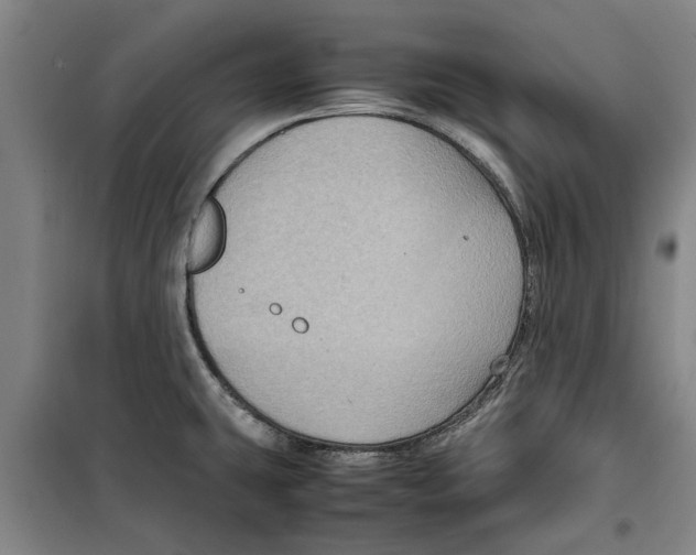 X0000099411431200805301336