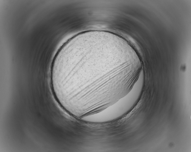 X0000099411432200805301336