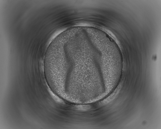 X0000099411433200805301336