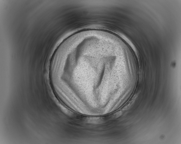 X0000099411437200805301336