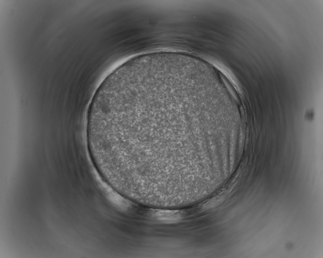 X0000099411439200805301336