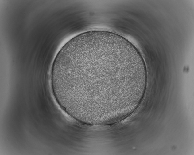 X0000099411440200805301336