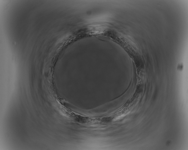 X0000099411441200805301335