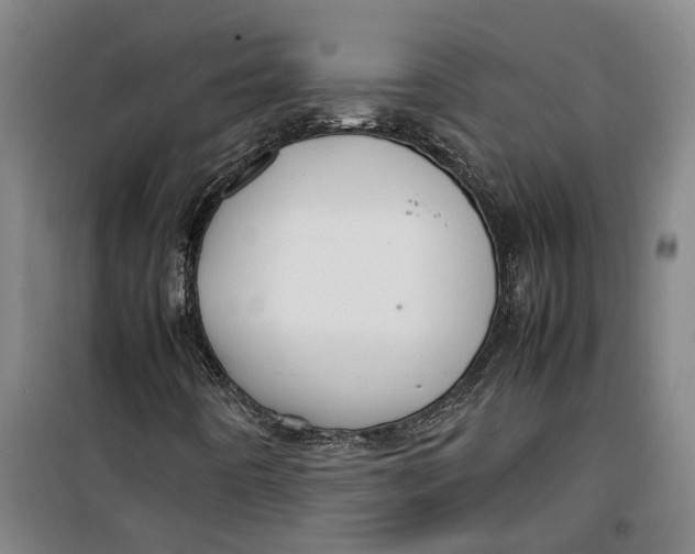 X0000099411442200805301335