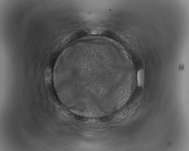 X0000099411443200805301335