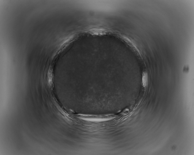 X0000099411444200805301335