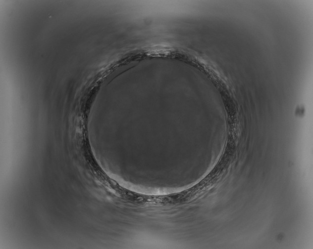 X0000099411445200805301335