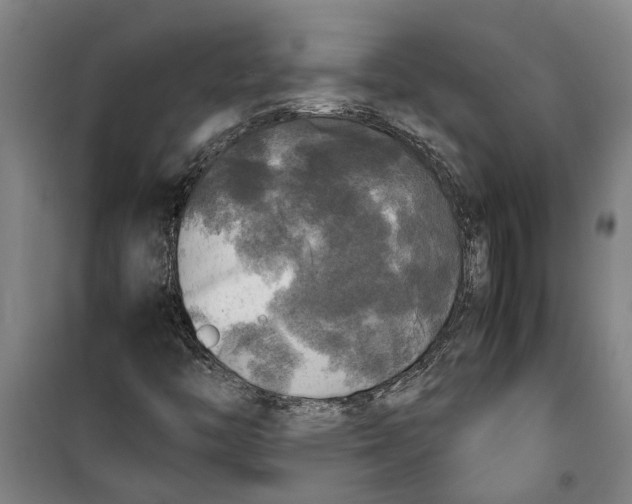 X0000099411446200805301335