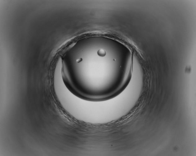 X0000099411448200805301335