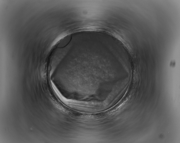 X0000099411450200805301335