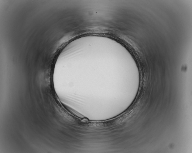 X0000099411451200805301335