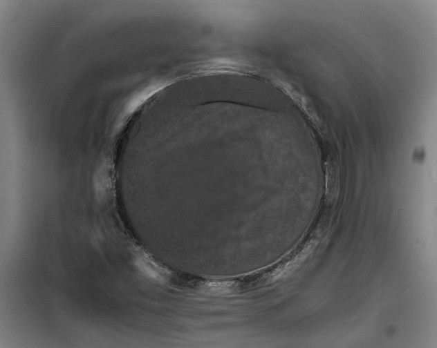 X0000099411453200805301335