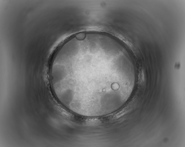 X0000099411454200805301335