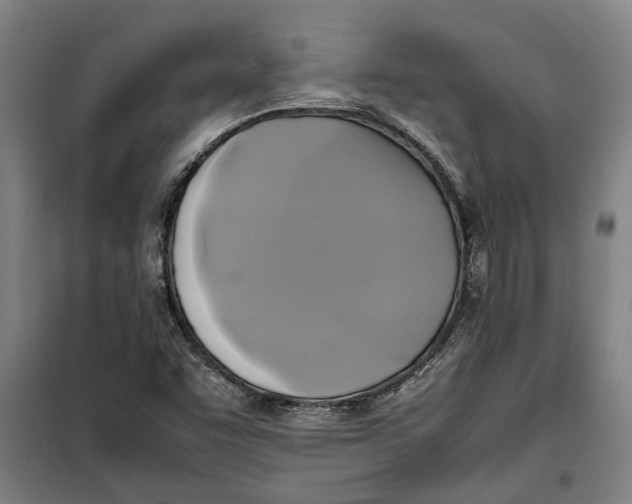 X0000099411455200805301335