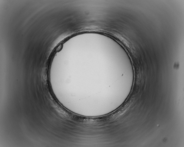 X0000099411458200805301335