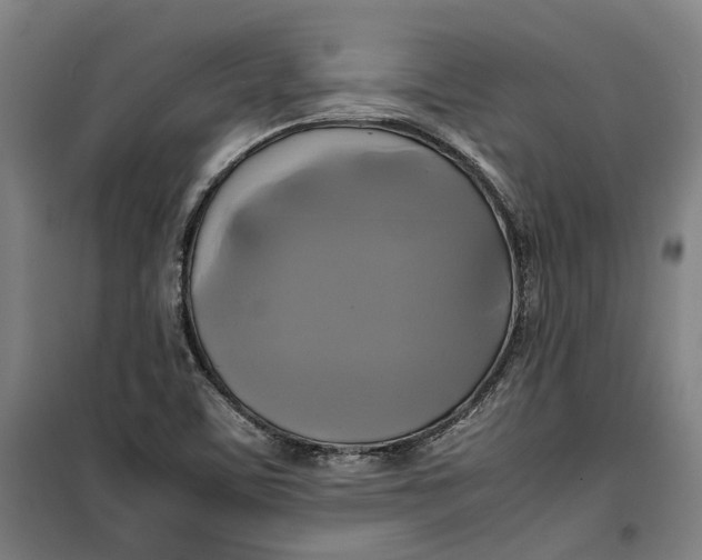 X0000099411459200805301335