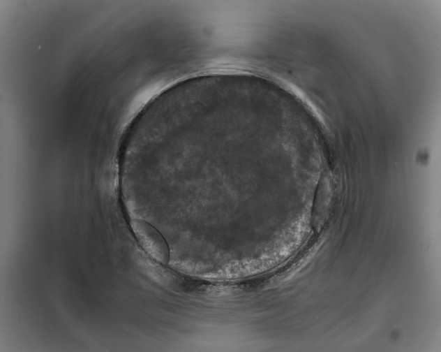 X0000099411461200805301335