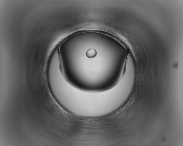 X0000099411464200805301335