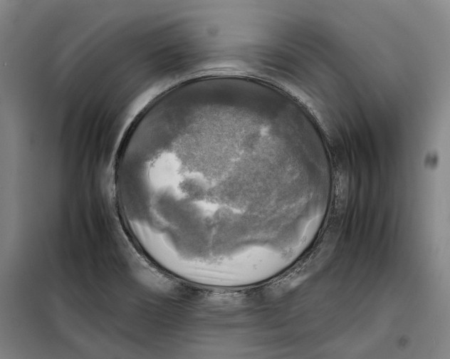 X0000099411466200805301335