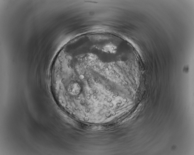 X0000099411467200805301335