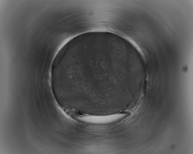 X0000099411468200805301335