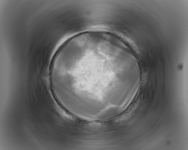 X0000099411470200805301335