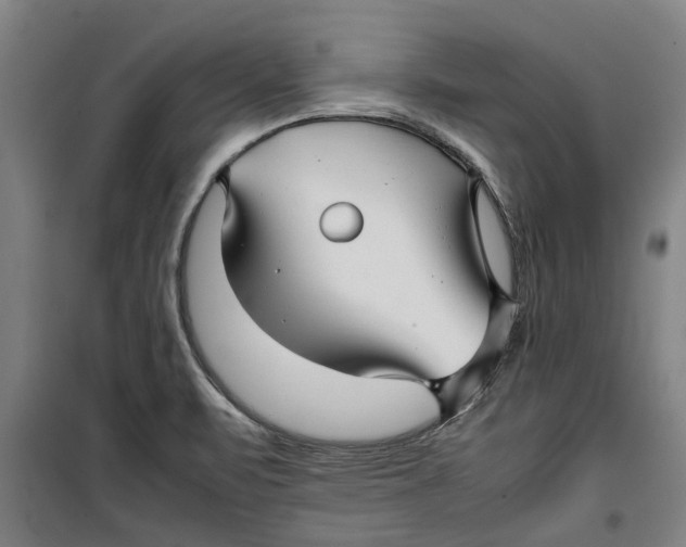 X0000099411471200805301335