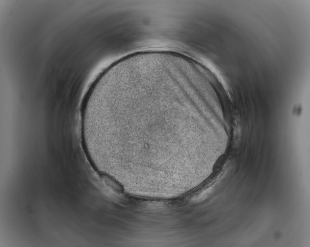 X0000099411472200805301335