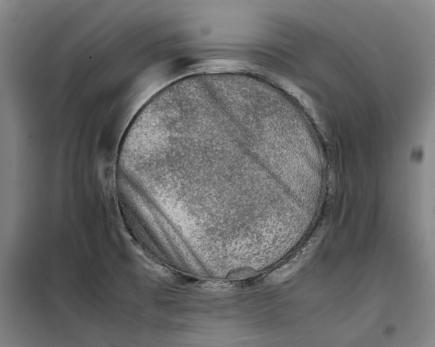 X0000099411473200805301335