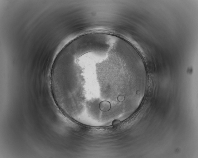 X0000099411474200805301335