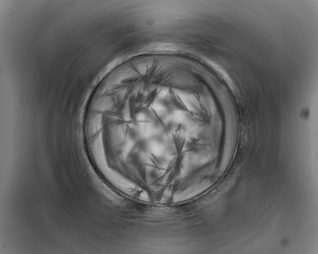 X0000099411475200805301335