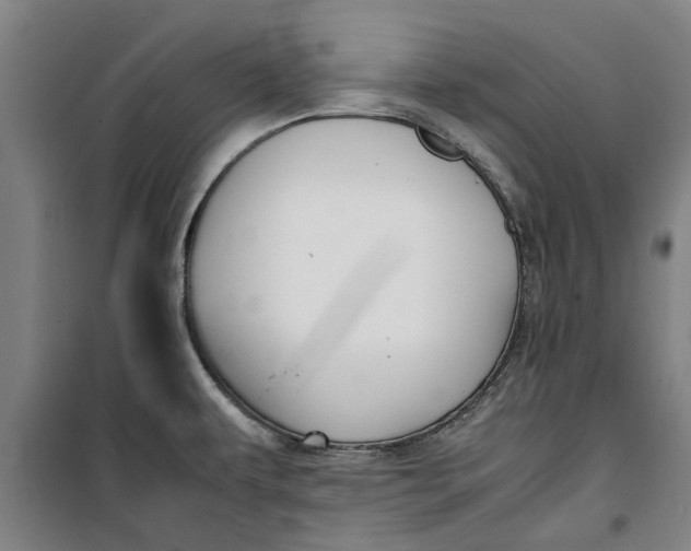 X0000099411479200805301335