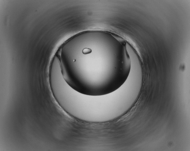 X0000099411480200805301335