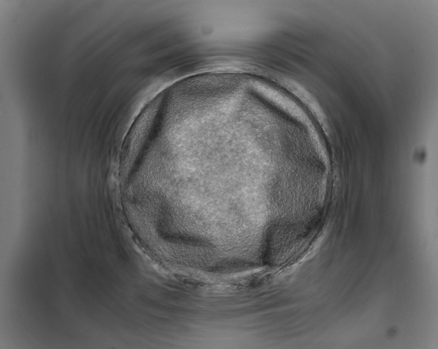 X0000099411481200805301335