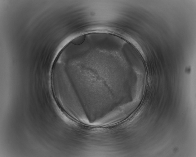 X0000099411482200805301335