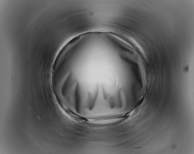 X0000099411484200805301335