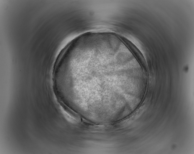 X0000099411485200805301335