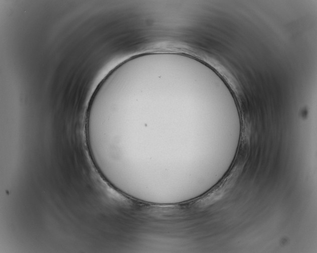 X0000099411486200805301335