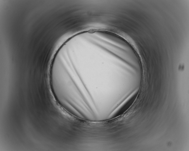 X0000099411488200805301335