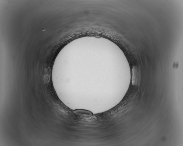 X0000099411491200805301334