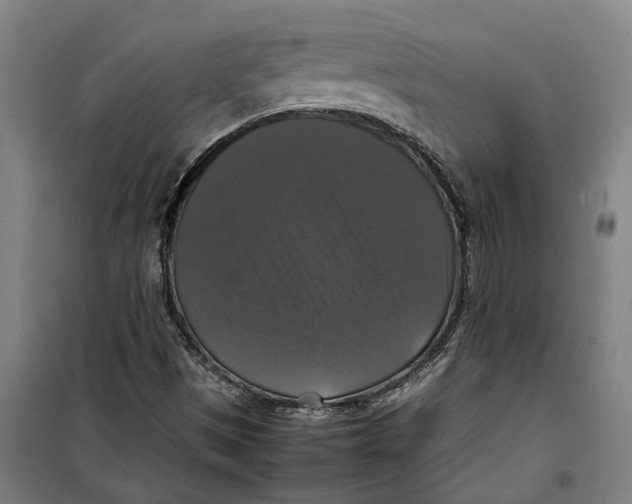 X0000099411497200805301334