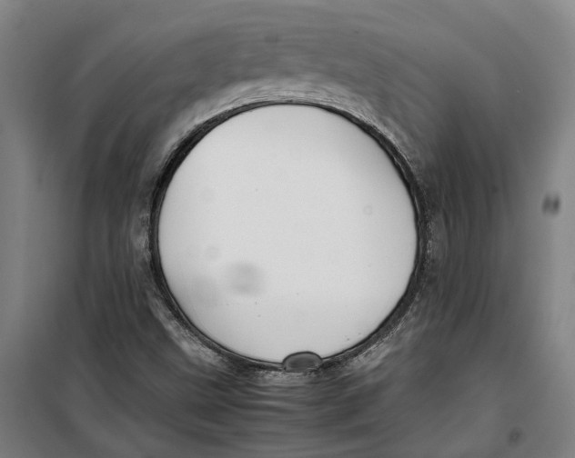 X0000099411499200805301334