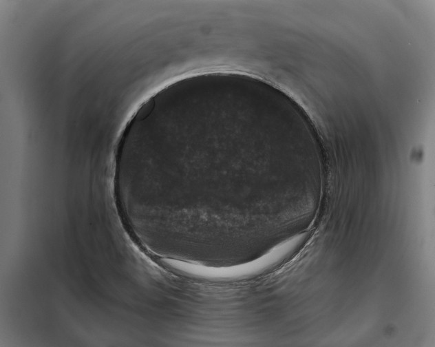 X0000099411508200805301334