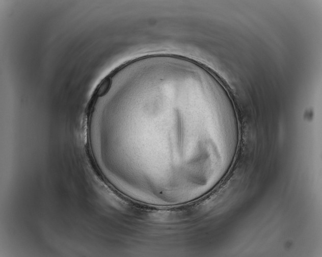 X0000099411510200805301334